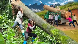 Agricultural vehicle, two girls harvesting giant timber on dangerous cliffs.#wood #girl #truck #farm
