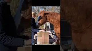Horse medicine is real and so powerfull! #horse #healing #power #love #universe #spirituality