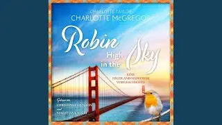 Kapitel 01 - Robin - High in the Sky