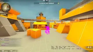 stylescheat tank aa