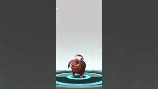 EVOLVING LUCKY LECHONK #niantic  #pokemongo  #paldea  #pok&eacute;mon