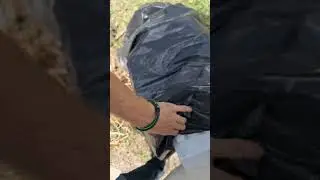 Toilet On The Street