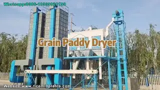 Rice Dryer | Paddy Dryer | Rice Mill Dryer for Parboiled Rice Mill - Co-Grain #ricemill #paddydryer