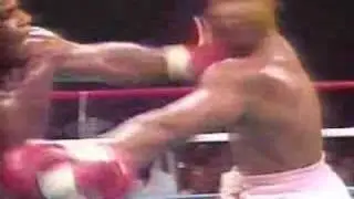 Fallen Champ - 7