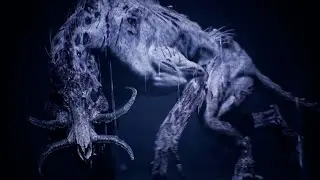 HELLBLADE SENUA'S SACRIFICE Walkthrough Gameplay Part 12 No Commentary