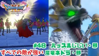 すべての敵が強い#48　ハッスルじじい・邪＆魔竜ネドラ・邪