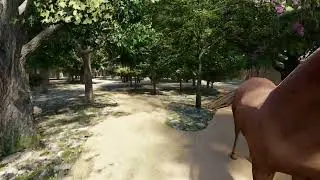 Forest Park | Landscape animation | 3d Landscape video | Garden Design | Out Door living area