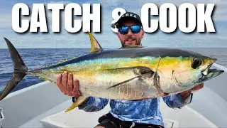Fishing for GIANT Tuna in Panama (Catch, Clean, Cook)
