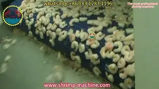 Shrimp cooker, cooking machine, cooking tunnel, cooking tank, cooking line, automatic shrimp cooker