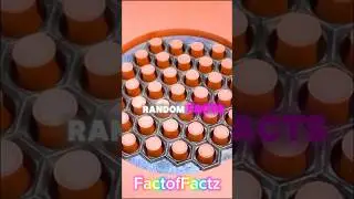 Random Facts #facts #satisfying #random #asmr #shorts #fyp #education #youtubeshorts #learning #fy