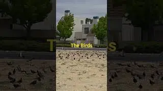Have you seen the classic Alfred Hitchcock film 