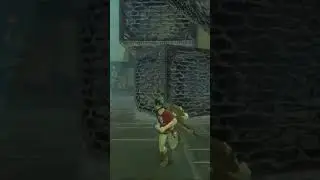 slight crashout #zelda #meme #gaming #nintendoswitch #Nintendo #loz #botw
