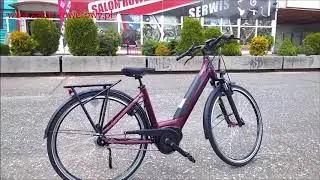 Winora Sinus IN7 2020 www.salon-rowerowy.pl