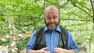 &Ouml;kumenische Andacht im Wald von Titus Schlagowsky zum 11. Sonntag nach Trinitatis