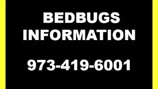 Bed Bugs Information- Pest Control Services NJ - CALL (862) 701-2076