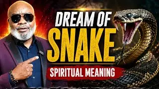 DREAM OF SEEING A SNAKE 🐍 MEANING AND INTERPRETATION 