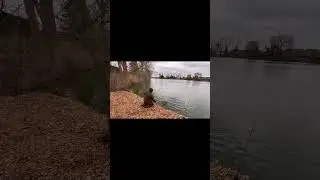 Aanbeet Queenslake🇧🇪🇧🇪🇧🇪