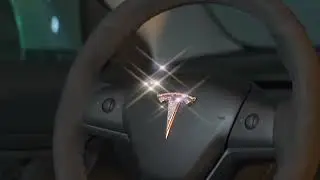 Tesla Logo Decal for Model 3 / Y from Tesery