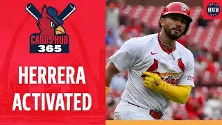St. Louis Cardinals recall Ivan Herrera. Open series in DC | Cards Hub 365