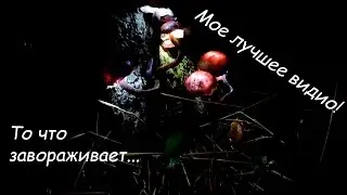 Как сделать ночник/декорацию для сада 