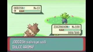 POKEMON EMERALD | ZIGZAGOON | CERCA | IMPRISON