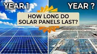 TOP 5 Tips for Your Commercial Solar Maintenance and Warranty