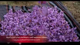 Saharkhiz 2