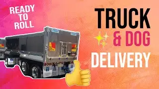 Sloanebuilt || Truck and Dog Combination || New Build