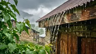 Night Rain on a Tin Roof 🌙 Heavy Rain Sounds for Better Sleep