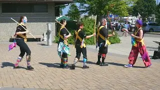 Whistle Pig Morris performs border? morris dance