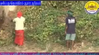 Farming-Kerala-Kodungalur-Bhagavathyamman-Temple-Thirumuri-Thirumanthiram-Sarcunath Aduvar-SIVAMtv-05