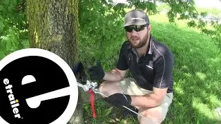 etrailer | An In-Depth Look at the Bow Shackle with Screw Pin