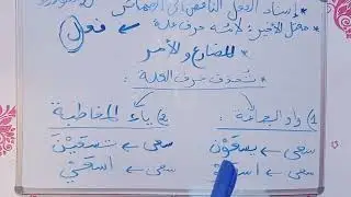 إسناد الفعل الناقص الى الضمائر _ السنة الثانية متوسط