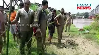 Fire Service Team & Locals Unite To Rescue A Cow From Muddy Waters Under Railway Bridge In Moradabad