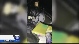 Caught on Camera: Bear busting out of a car in Mt. Shasta