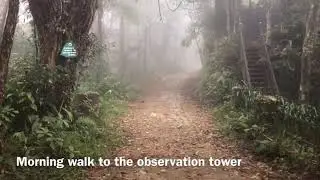 Travel Guide to Vietnam | Day 10 Bach Ma National Park | Travel Brat