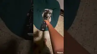 Lulu2 a y perdon por el sonido de censura que est&aacute; muy alto, fue el que encontr&eacute;,y al final no le da