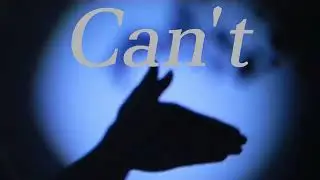 Saltcan- Tired Horse (Official Lyric Video)