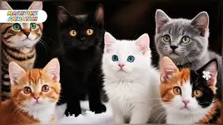  Kittens Save the Christmas From falling 😭🎄💝