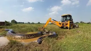 JCB machine doing real earthmoving work with clean and satisfying action