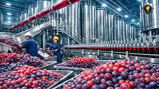 Como o VINHO é FEITO? 🍇 | O PROCESSO que NINGUÉM te mostra, do VINHEDO à GARRAFA