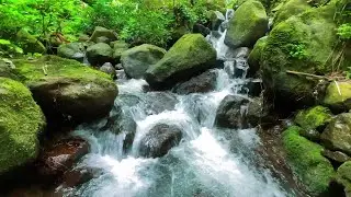 Calming Moonlight River Stream – Gentle Water Sounds to Support Deep Sleep