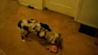 kaylawaterbottle