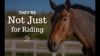 Ep.1 There's More to a Horse than a Ride