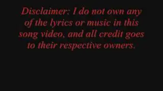 Disturbed Get Down With The Sickness(With Lyrics).wmv