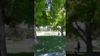 Waller Park