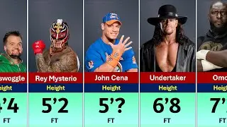 WWE Superstars Real vs Fake Height