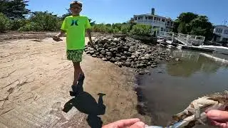 Stranded on the beach until we find 5 critters