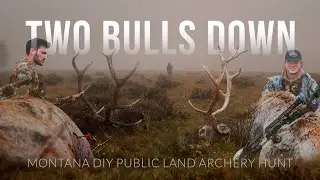 2. Убить лося из лука в Монтане!!! (САМОСТОЯТЕЛЬНАЯ охота с луком на ОБЩЕСТВЕННОЙ ЗЕМЛЕ!!)
