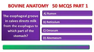 Veterinary MCQs with Answers on Bovine Anatomy || Vet Science MCQs with Answers || Vo past papers